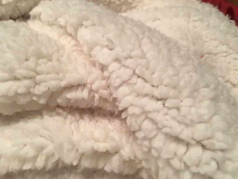 Delta Sigma Phi Sherpa Lined Blanket