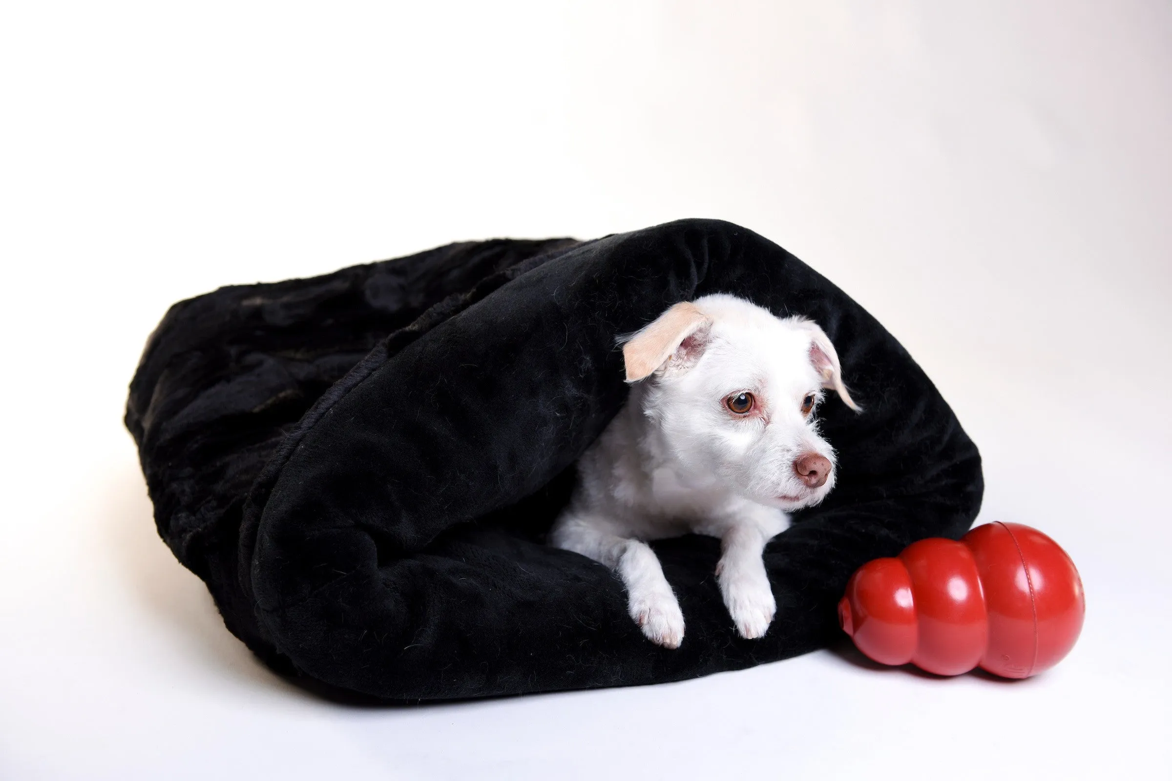 Dog and Cat cozy - Black Caviar