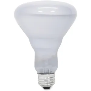 GE Lighting Reveal 65-watt R30 Floodlight