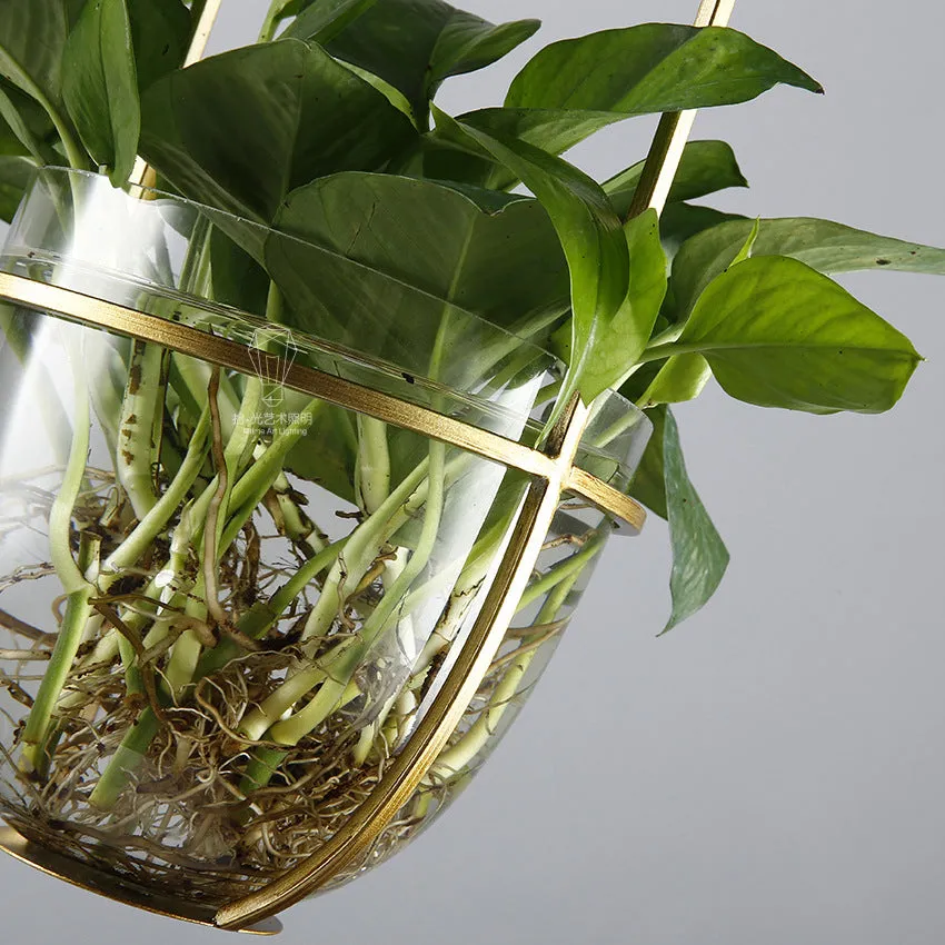 Hanging plant vase pendant light in brass