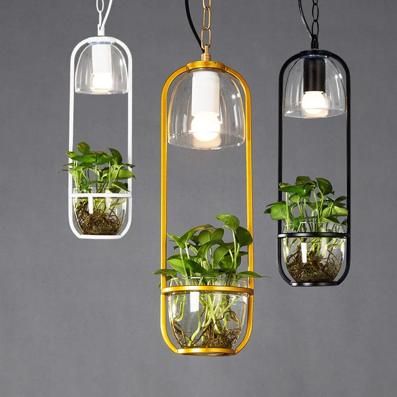 Hanging plant vase pendant light in brass