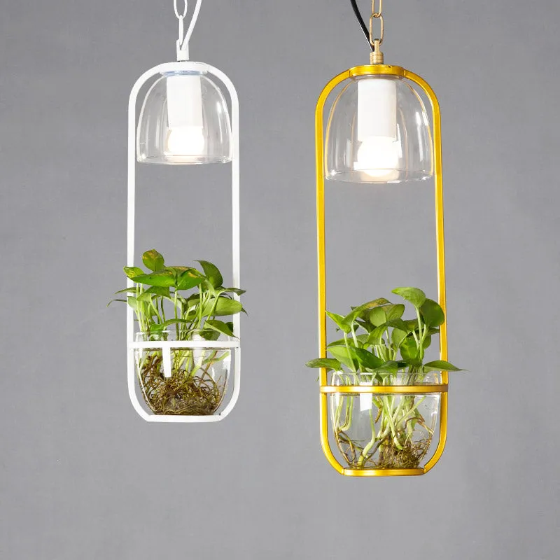 Hanging plant vase pendant light in brass