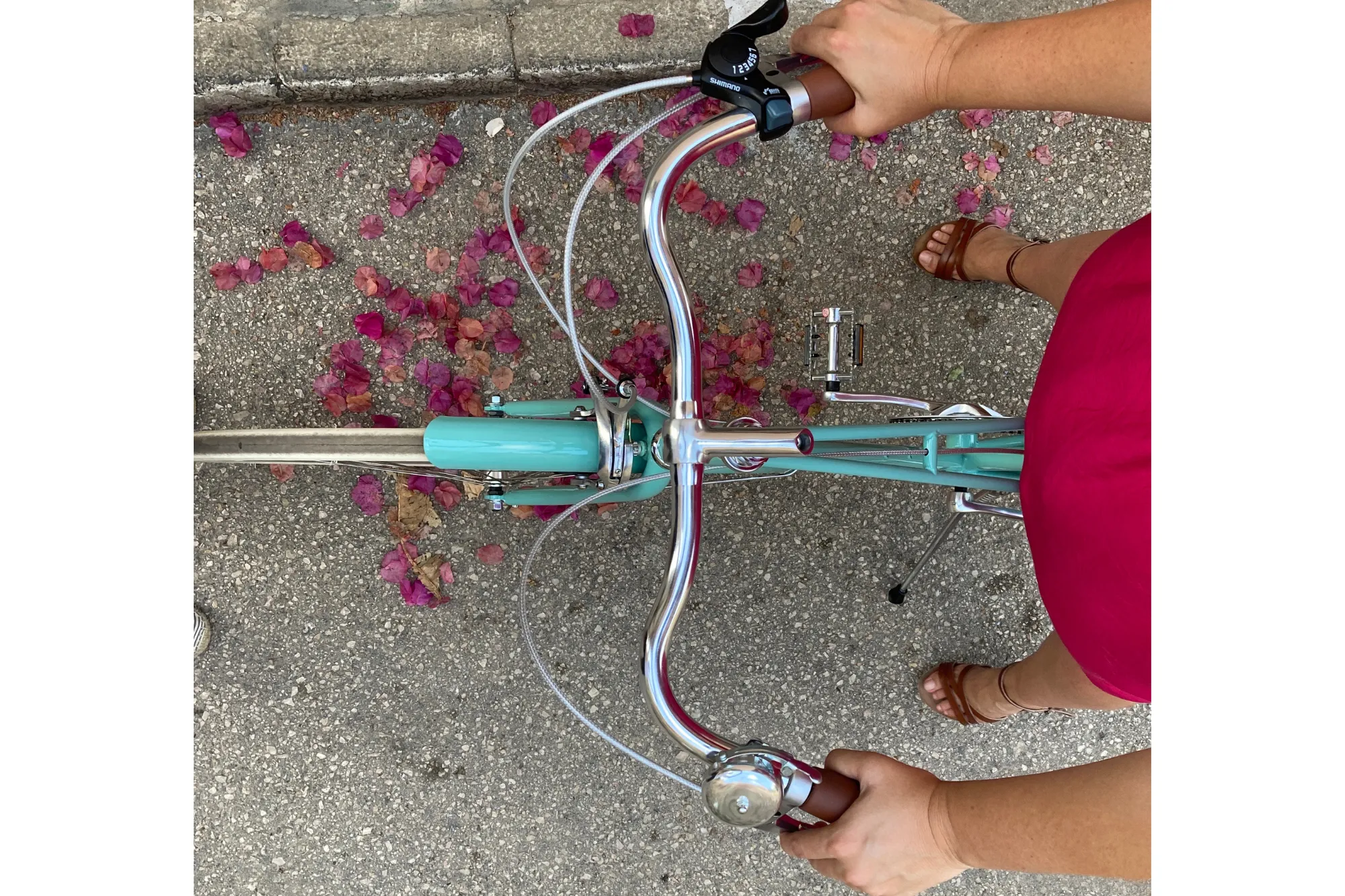 Hummingbird Vintage Bike