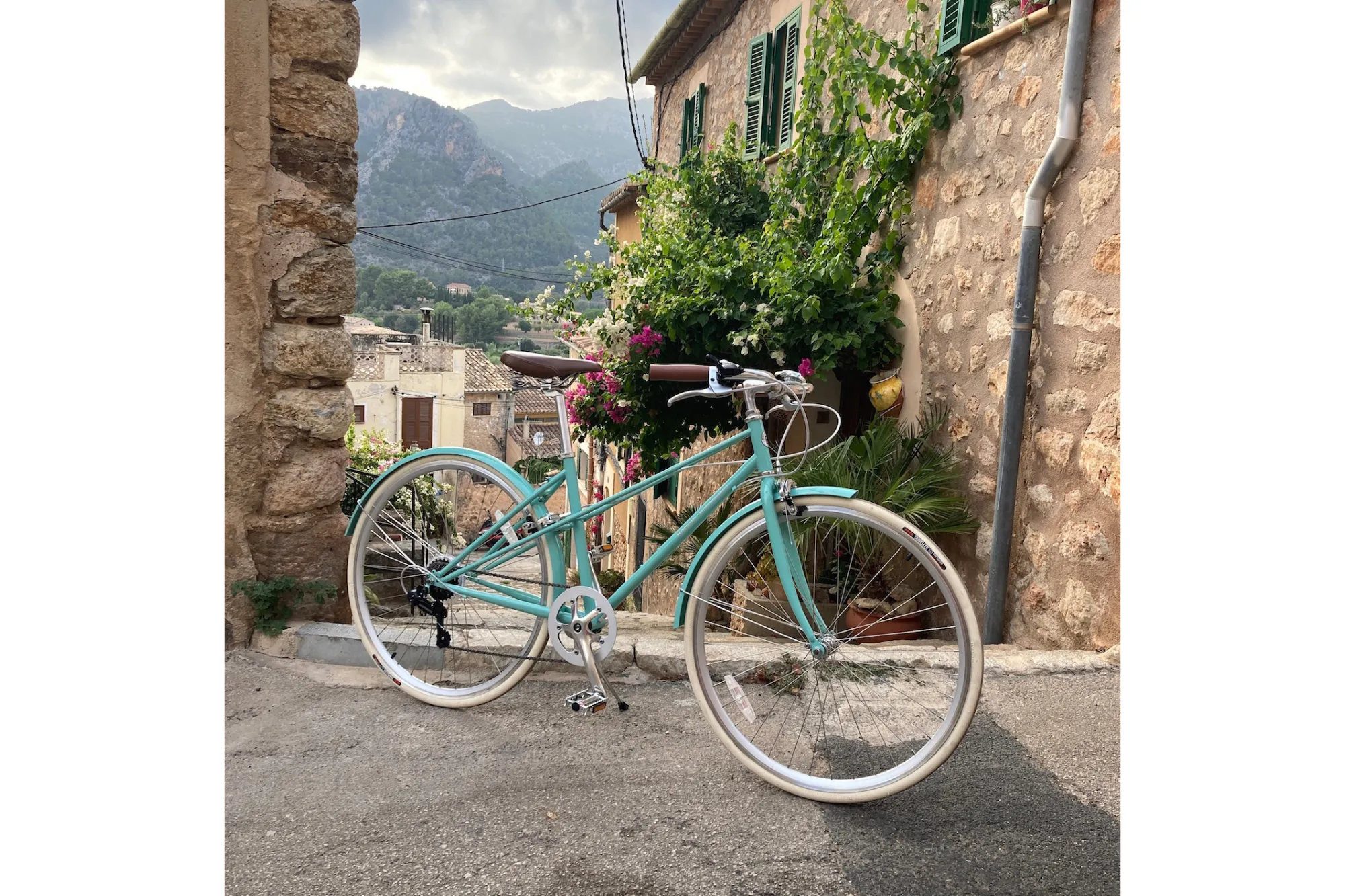 Hummingbird Vintage Bike