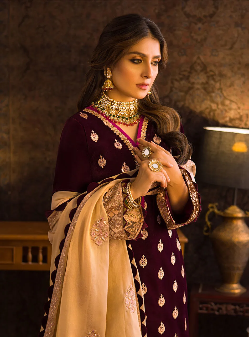 Maroon Velvet Salwar Kameez Design Pakistani Dress #PN567