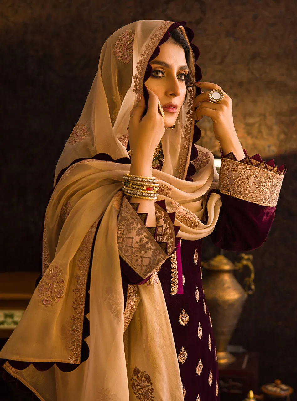 Maroon Velvet Salwar Kameez Design Pakistani Dress #PN567