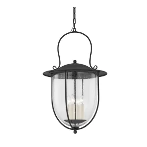Monterey County Exterior Pendant