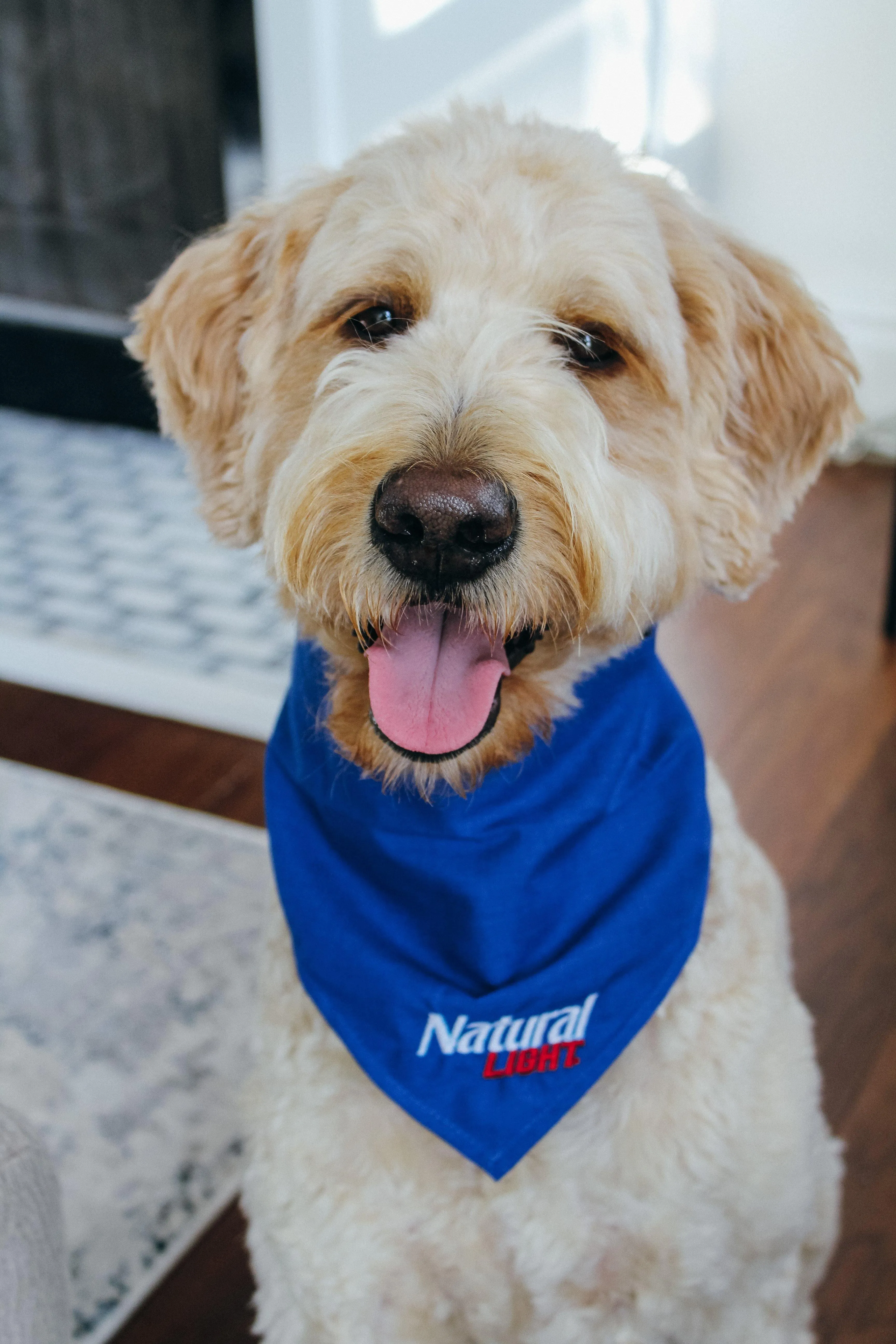 Natural Light Pet Bandana