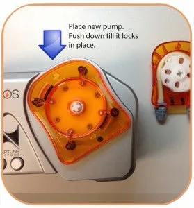 Neptune System Replacing DoS Pump Head