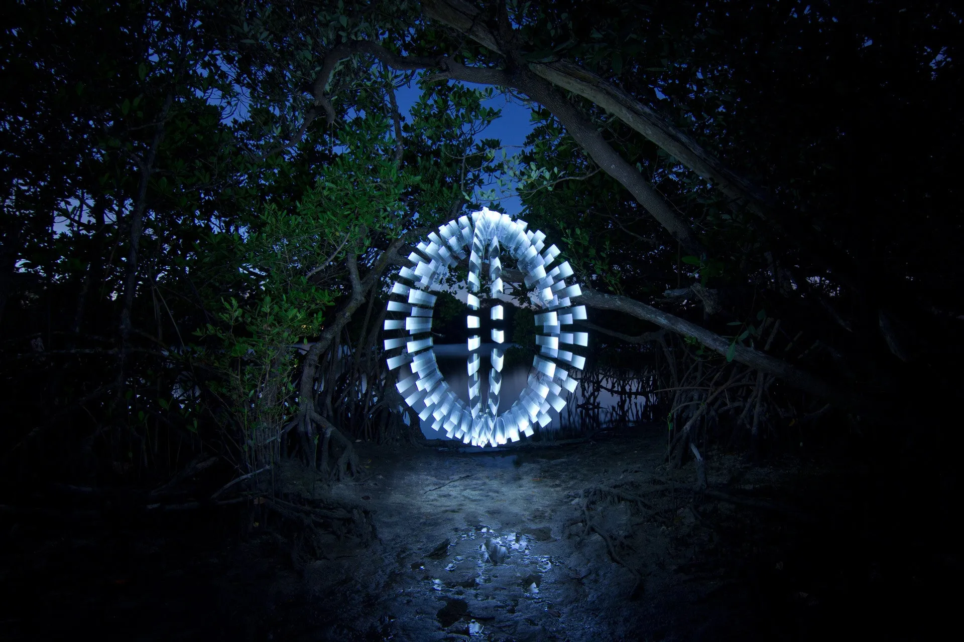 Plexiglass Feather