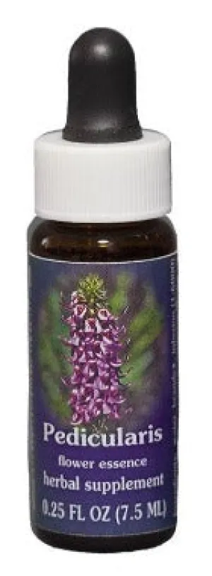 Range of Light - Pedicularis Flower Essence - .25 fl oz