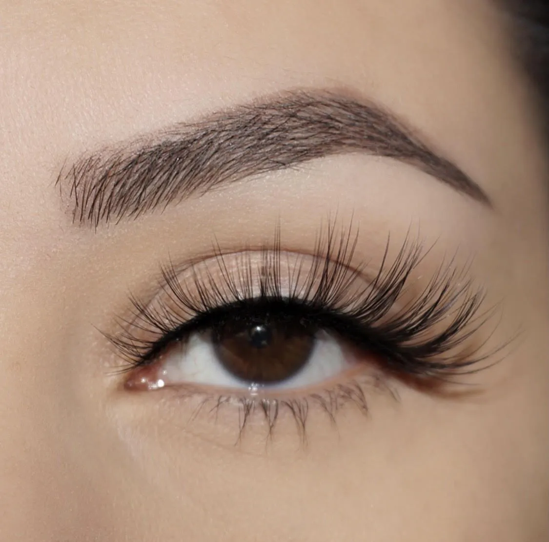 Zola Lashes Caliente Magnetic Lashes