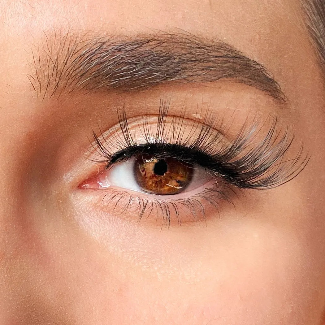 Zola Lashes Caliente Magnetic Lashes